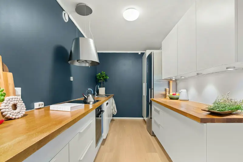 Galley Kitchen Ideas