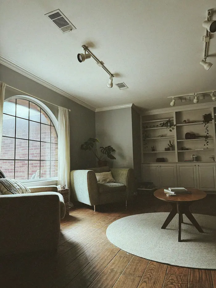 Moody Aesthetic living room design ideas